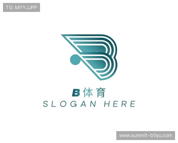 介绍b体育